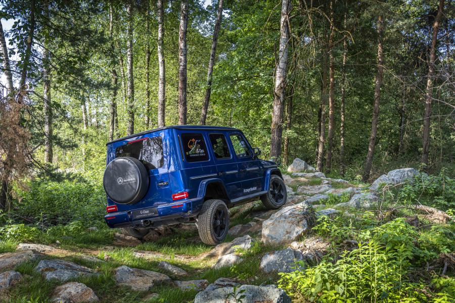  Mercedes-Benz G350 d (W463) 2019 года  (WW) (фото 34 из 41)